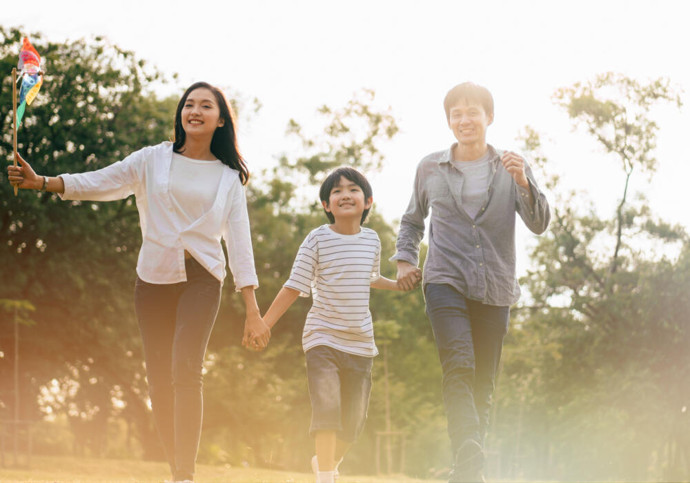 Family law in Gisborne explained